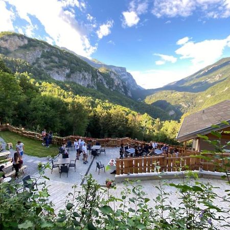 Chalet Torcel Affittacamere San Lorenzo Dorsino Eksteriør billede